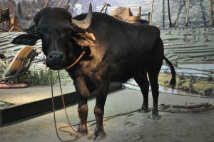 China in Deutschland II