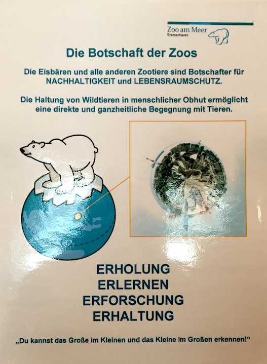 Eisbären Zoo Bremerhaven.jpg