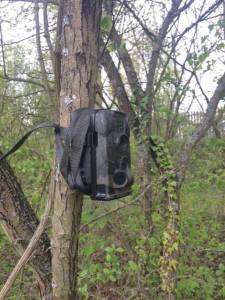 fotofalle_fuer_wolf_monitoring